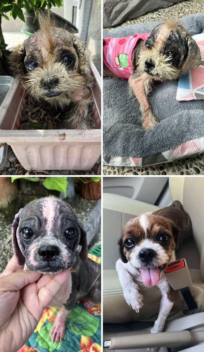 image-20230418151934-12