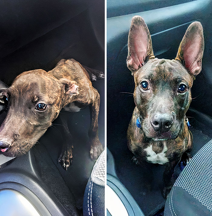 image-20230418151939-13