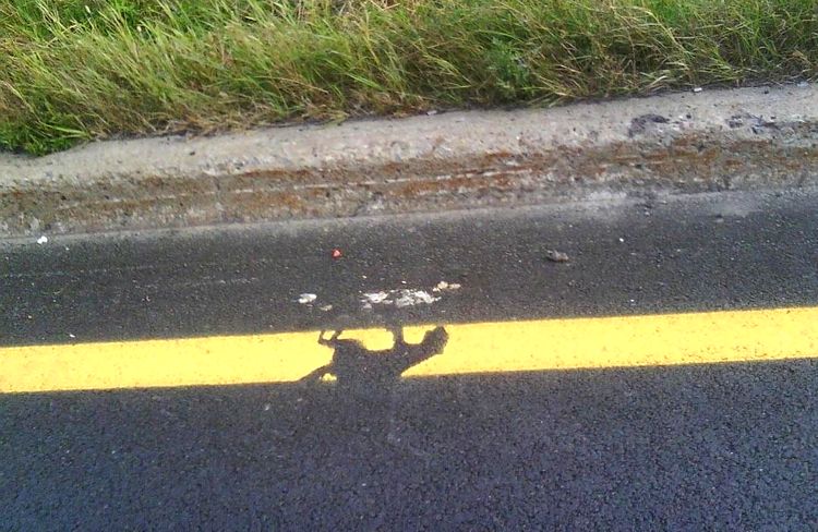 image-20230418154930-1