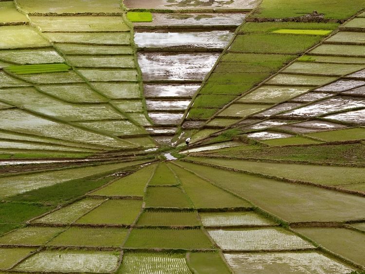 image-20230419153700-3