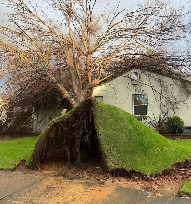 image-20230419153747-16