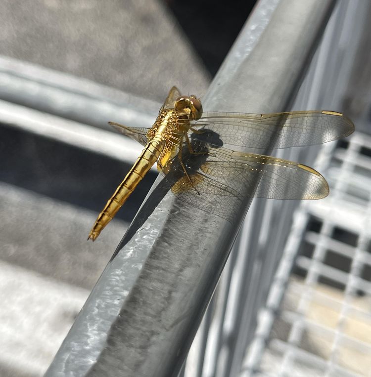 image-20230420131257-3