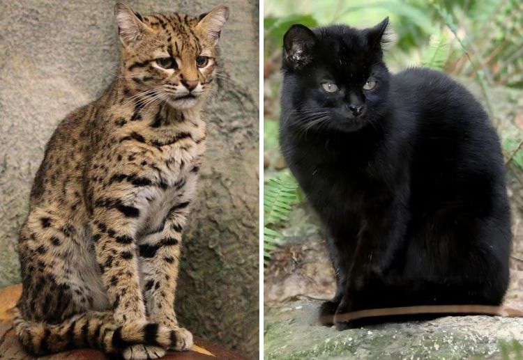 image-20230420131304-5