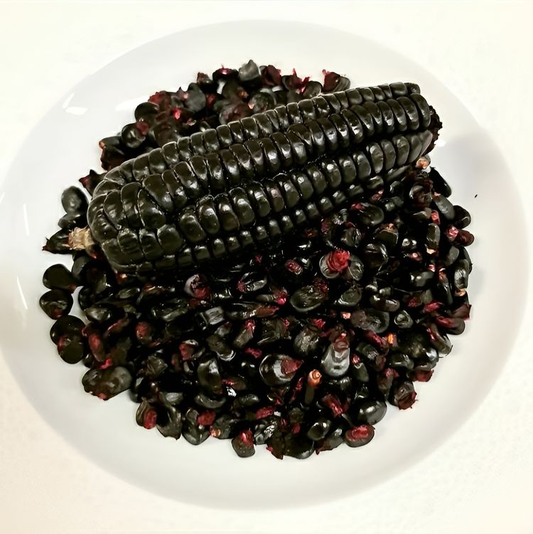 image-20230420131307-6