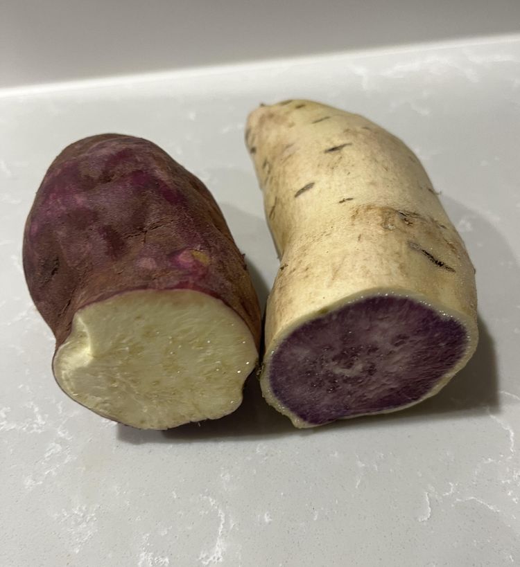 image-20230420131313-8