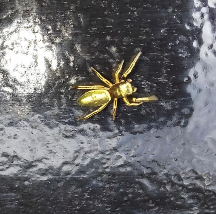 image-20230420131320-10