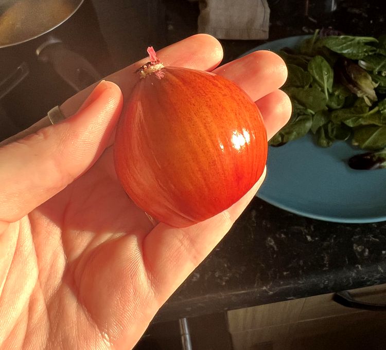 image-20230420131325-11