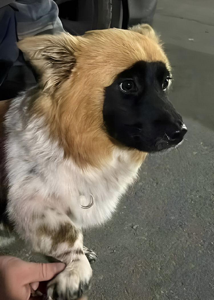 image-20230420131428-14