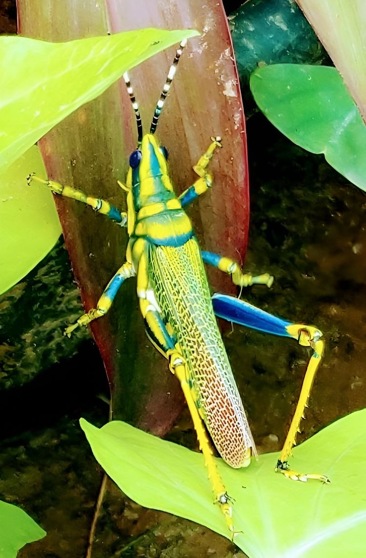 image-20230420131459-15