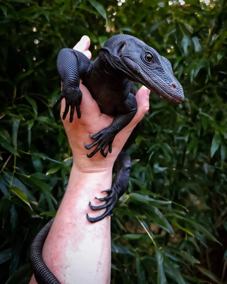 image-20230420131516-17