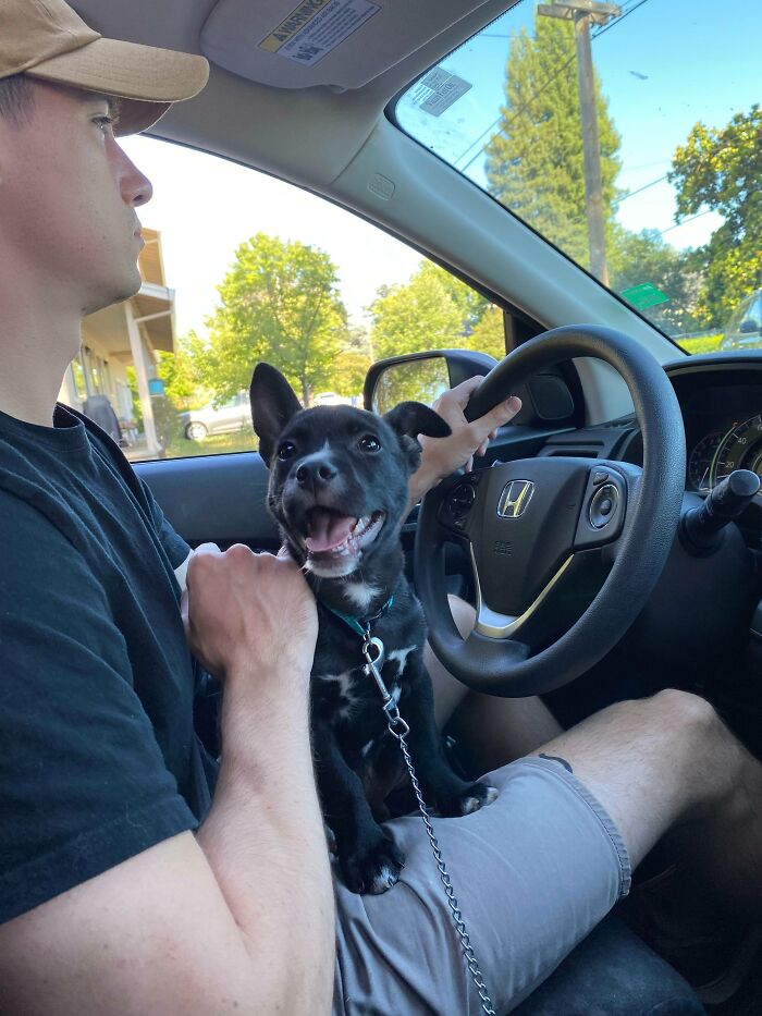 image-20230421133943-9