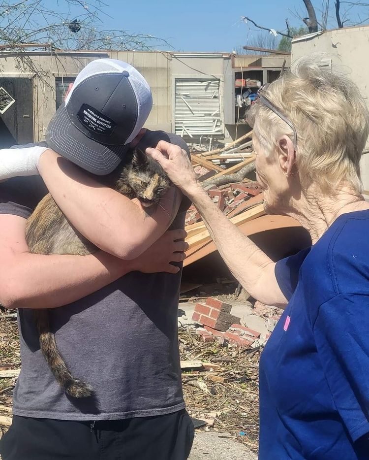 image-20230421134009-17