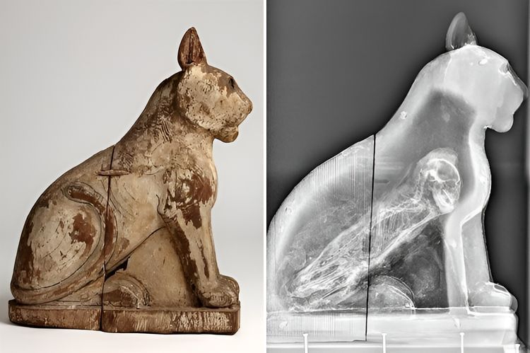 image-20230421153500-7