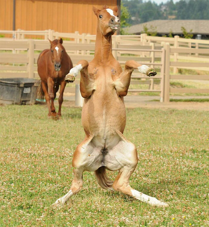 image-20230424111907-9