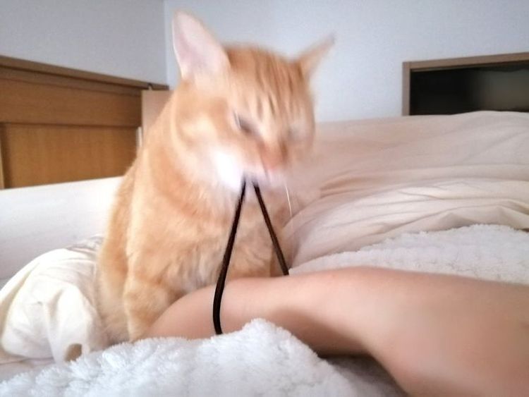 image-20230424111910-10