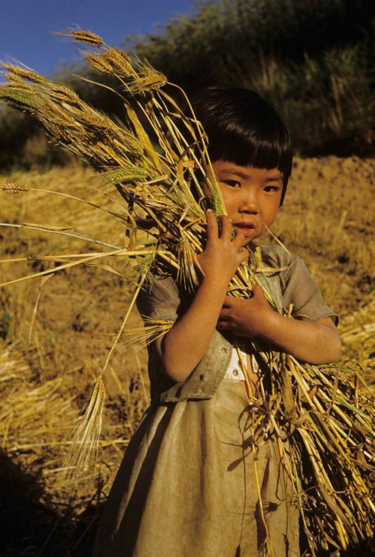 image-20230424122423-6