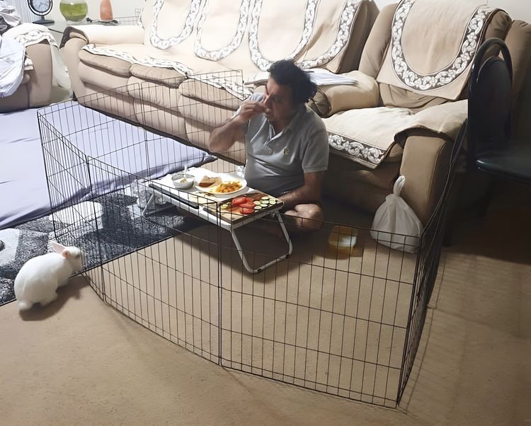 image-20230424134209-6