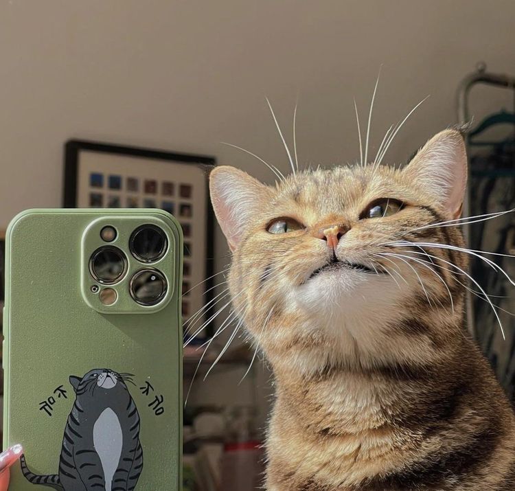 image-20230424144925-1