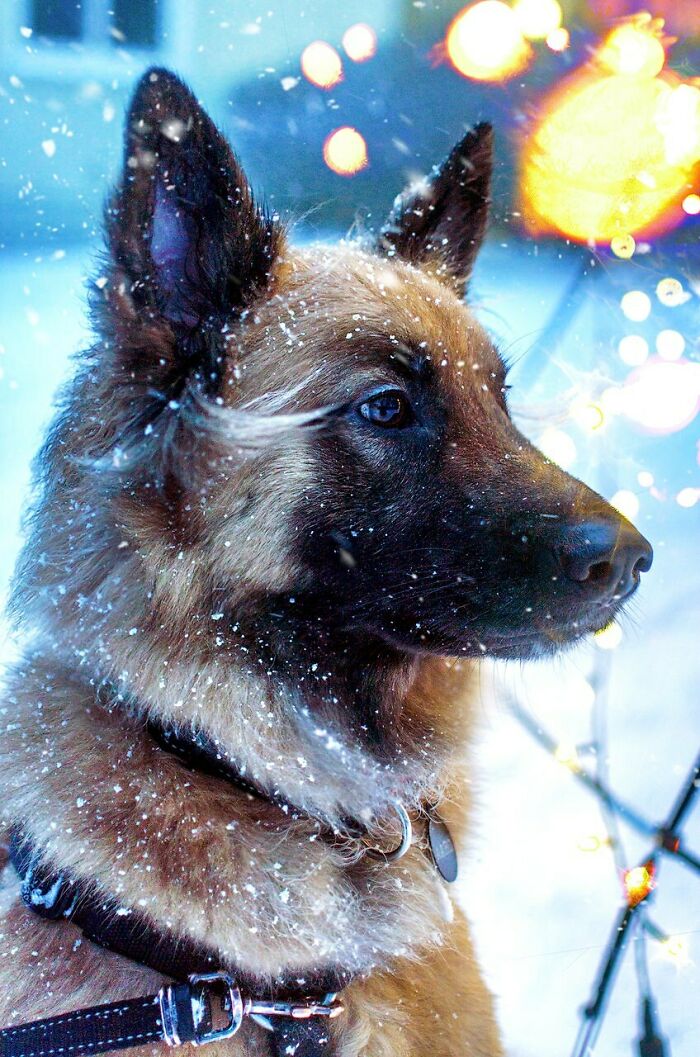 image-20230424144934-3