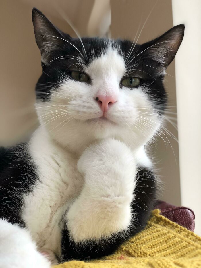 image-20230424144949-7