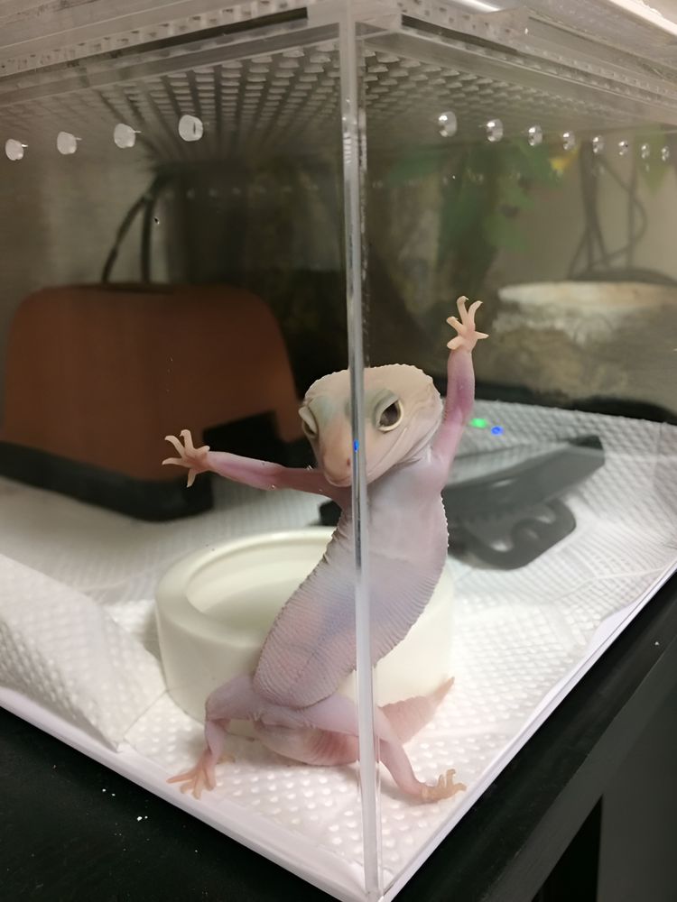 image-20230424144952-8