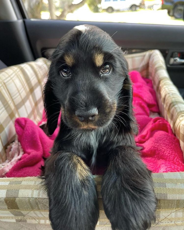 image-20230424144956-9