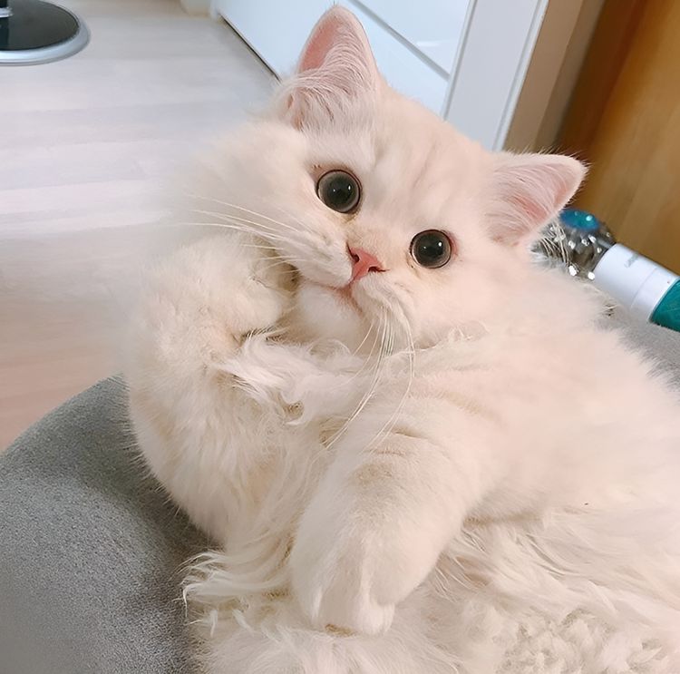 image-20230424145019-15