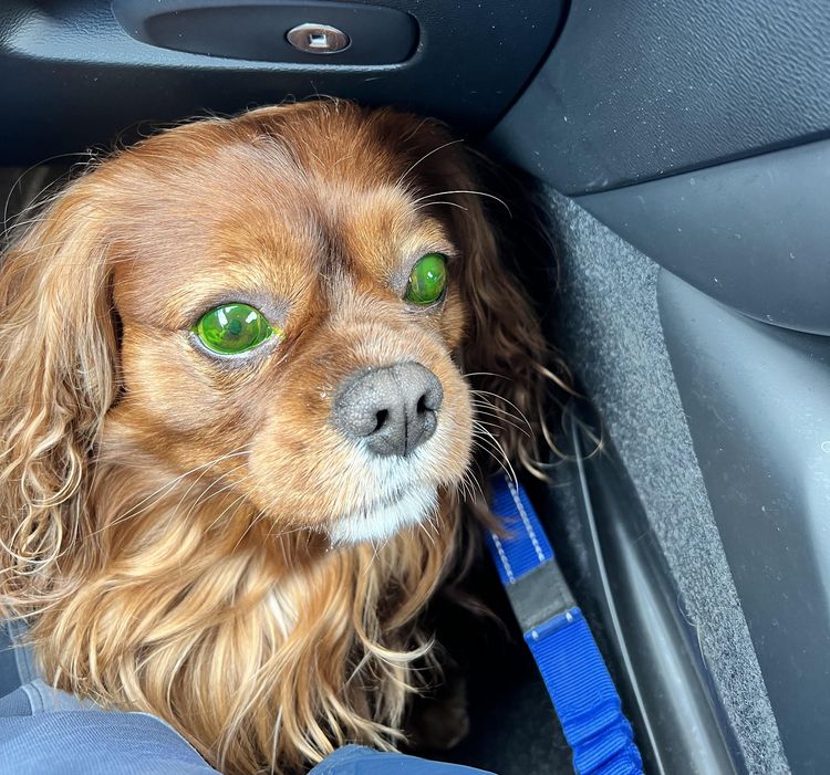 image-20230425170641-3