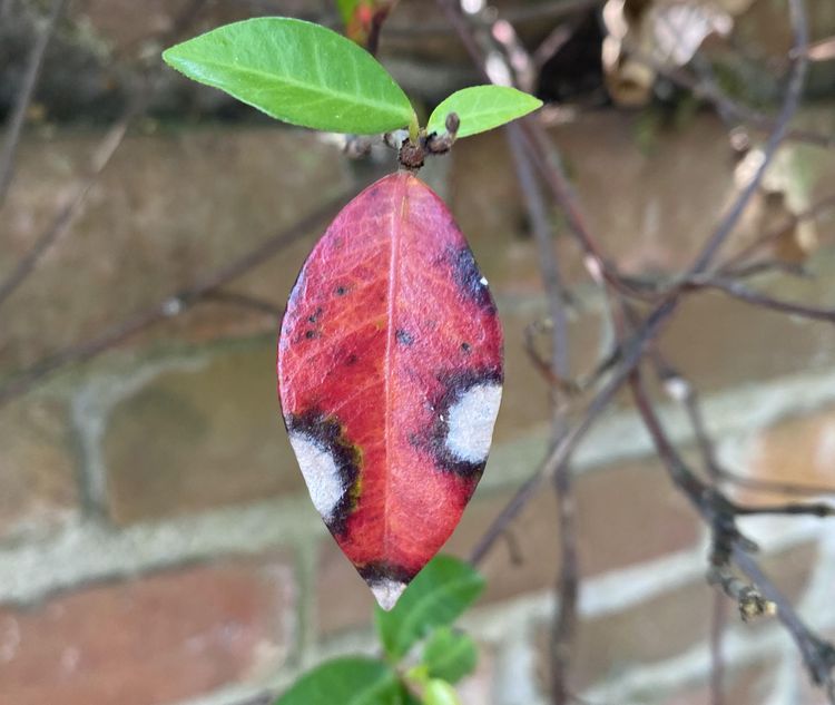 image-20230425170845-5