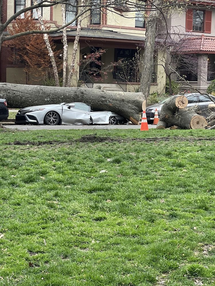 image-20230428141804-4