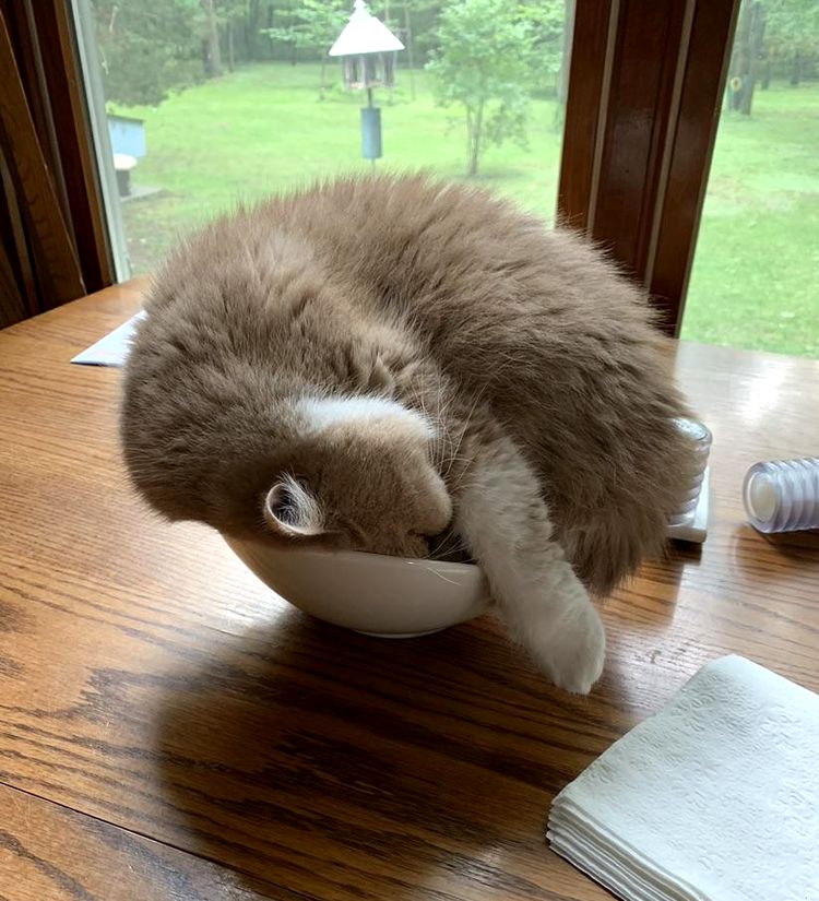 image-20230428160950-1