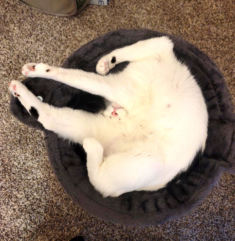 image-20230428160953-2