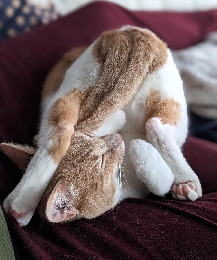 image-20230428160956-3