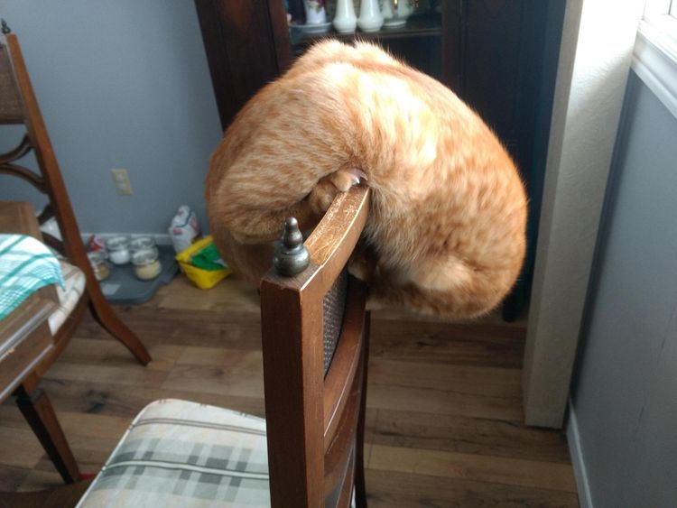 image-20230428160959-4