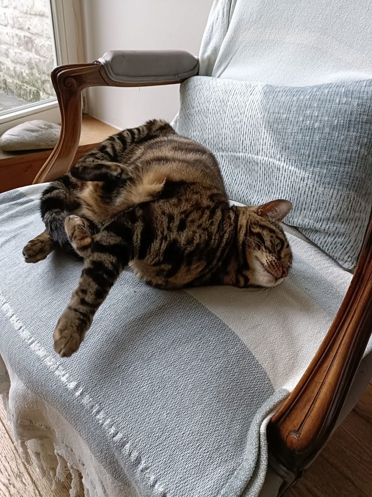 image-20230428161003-5