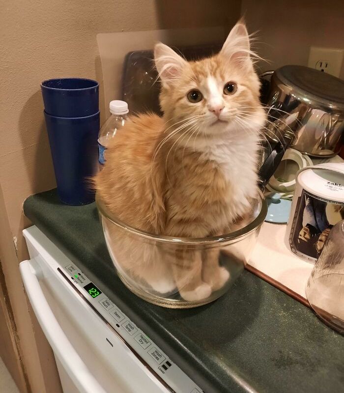 image-20230428161009-7