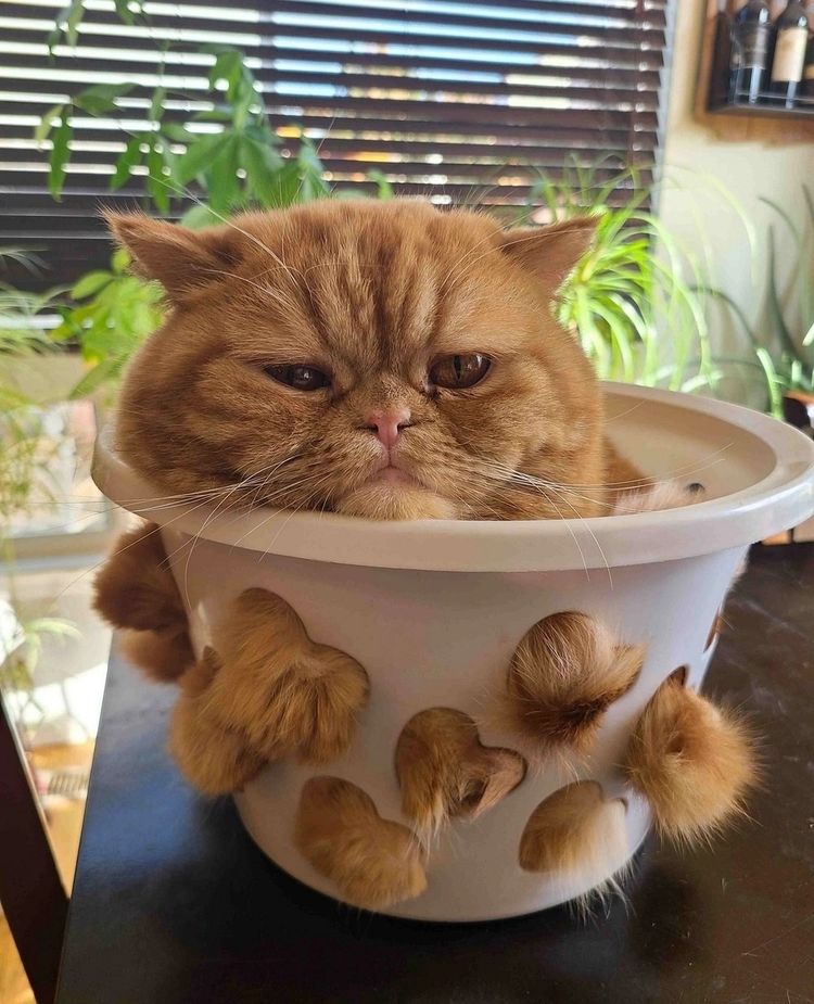 image-20230428161019-10