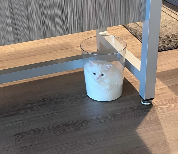 image-20230428161022-11