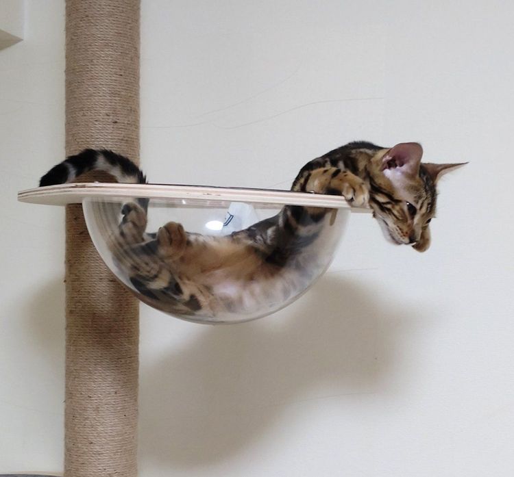 image-20230428161029-13