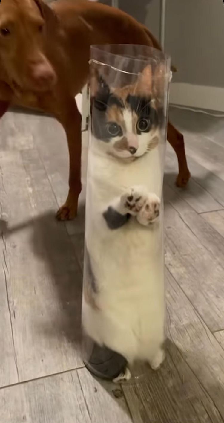 image-20230428161035-15