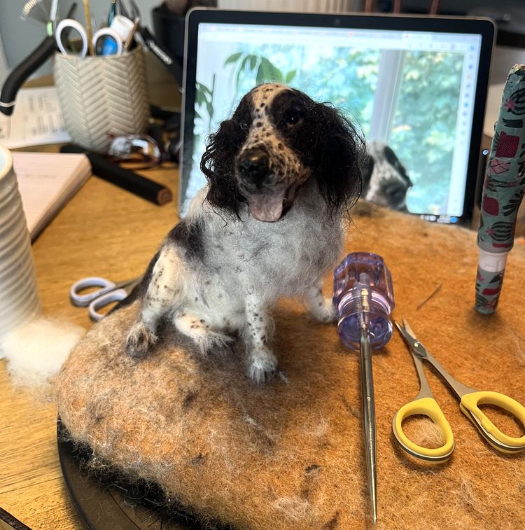 image-20230428173033-8