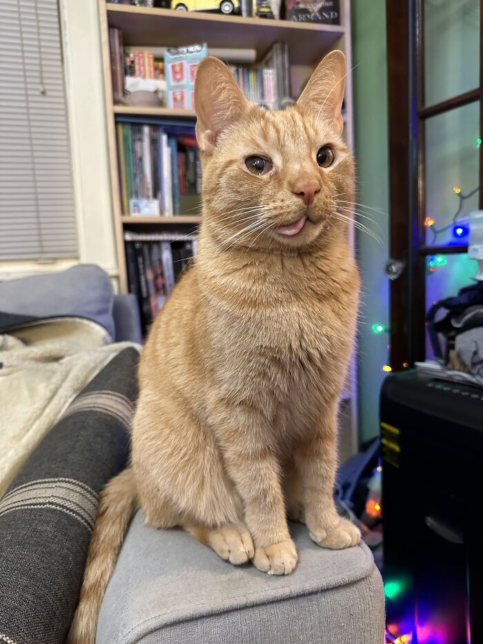 image-20230503113720-1