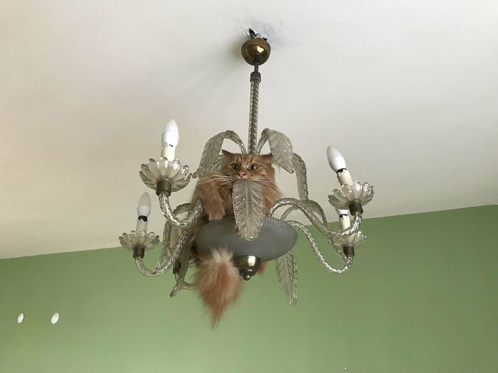 image-20230503113728-4