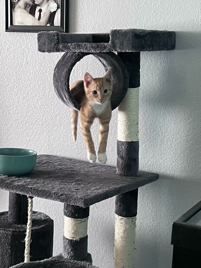 image-20230503113743-8