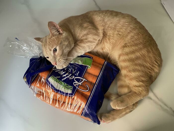 image-20230503113801-12