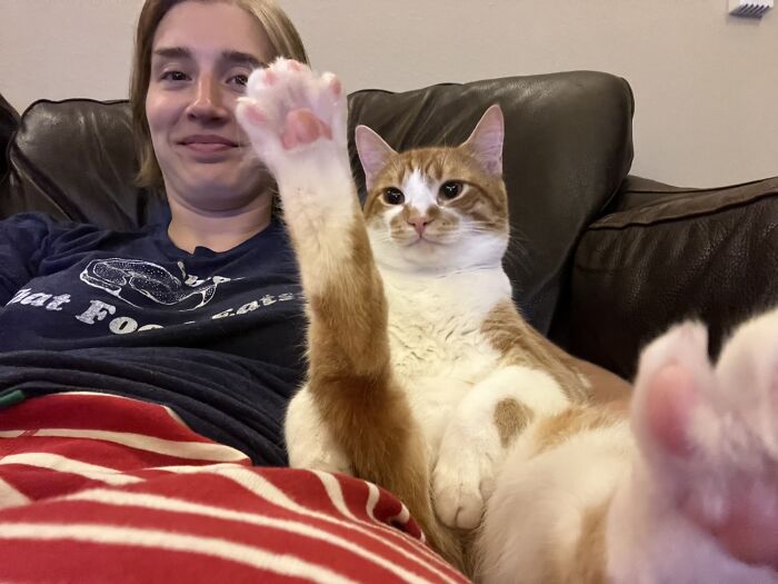 image-20230503113805-13