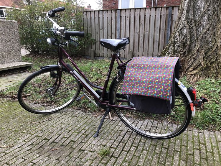 image-20230503125641-15