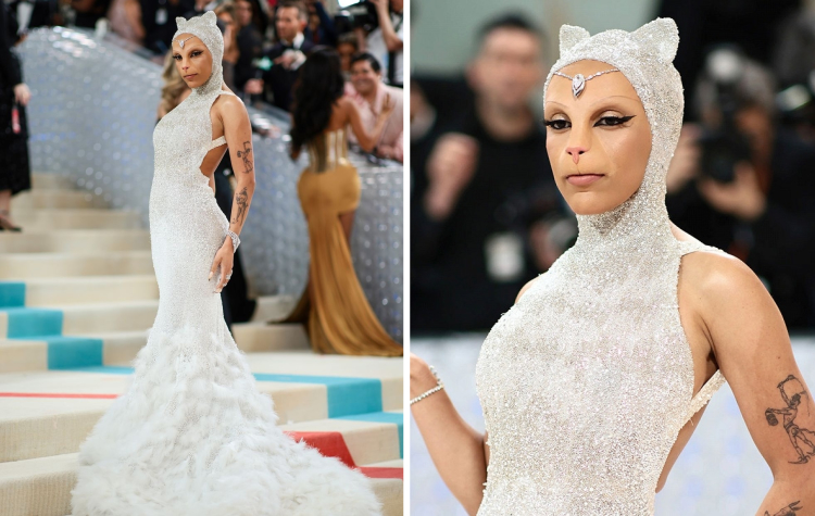 image-20230503204533-4