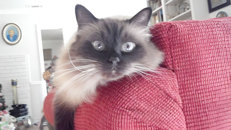 image-20230504141132-17