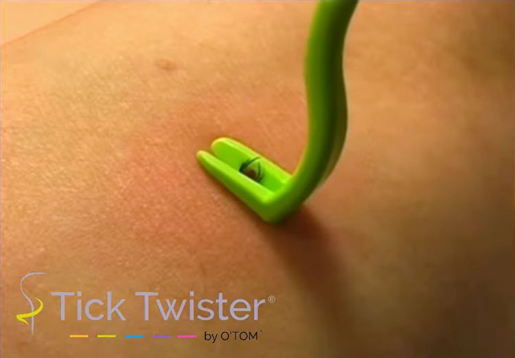 image-20230505132511-12